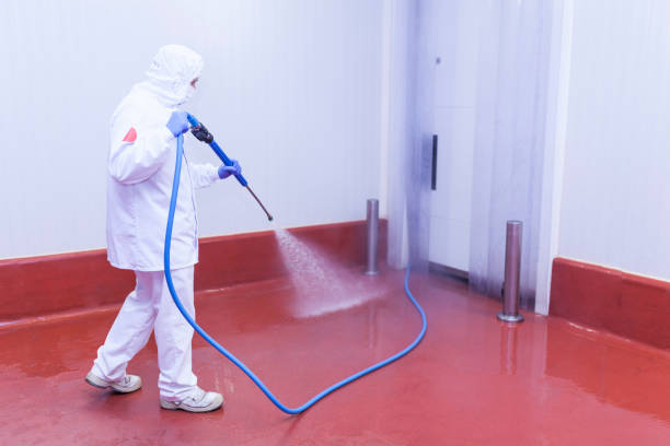 Reliable Cross Mountain, TX Pressure Washing Services Solutions