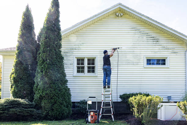 Best Soft Washing for Delicate Surfaces in Cross Mountain, TX